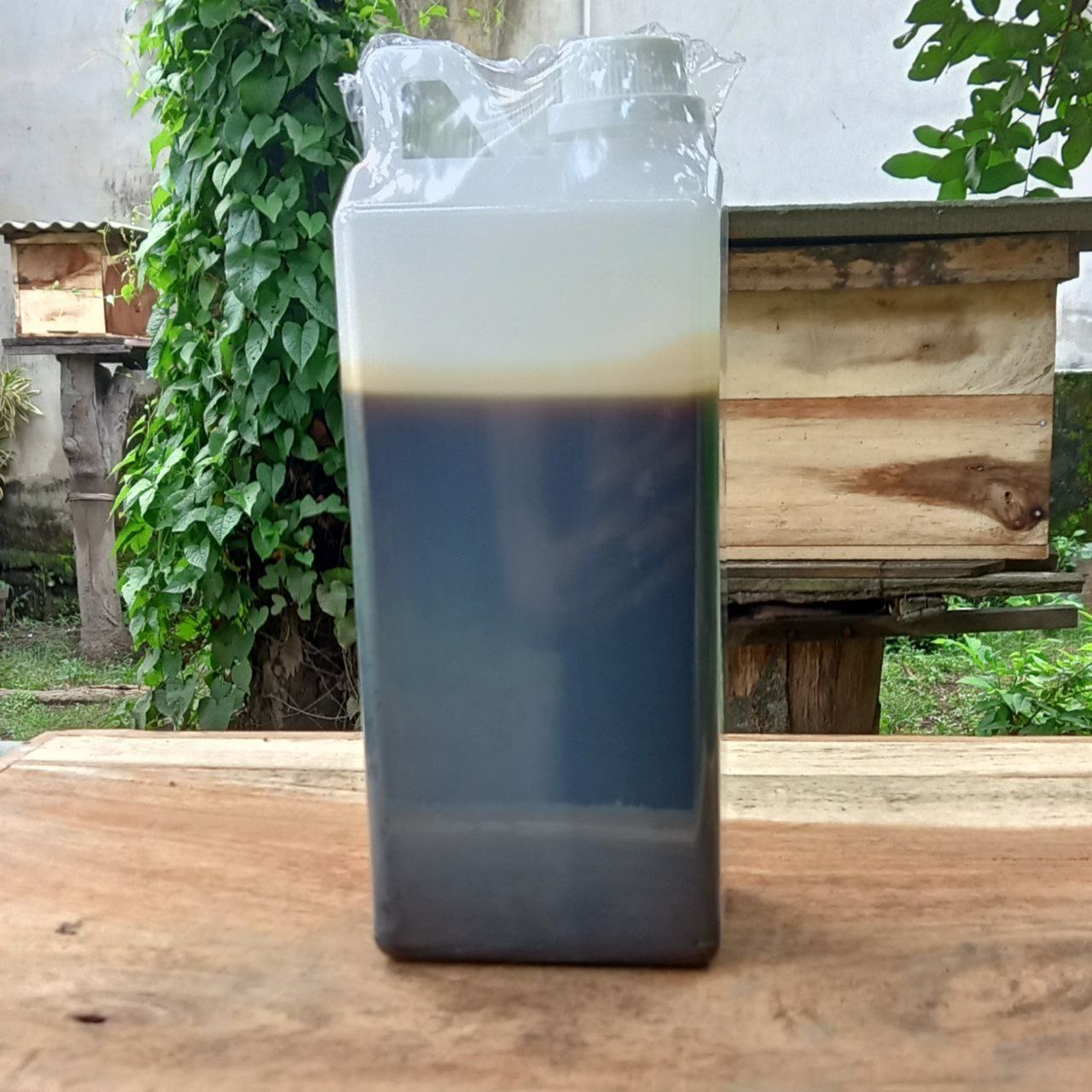 Madu Hutan Asli