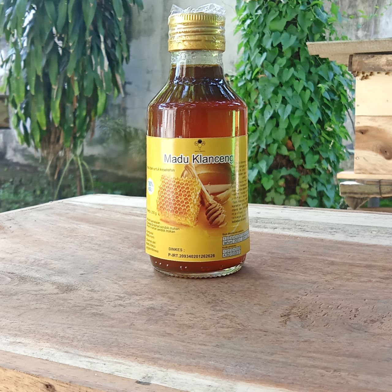 Madu Hutan Asli