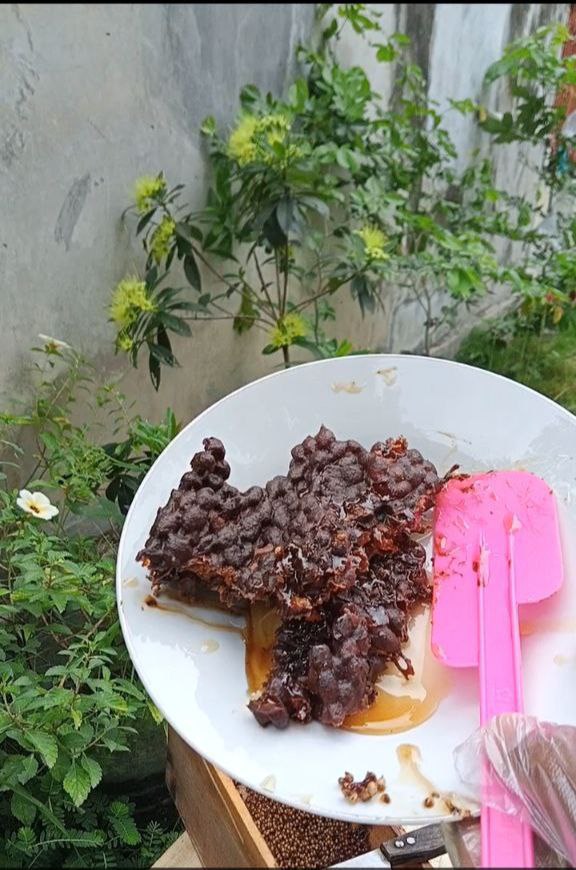 Madu Hutan Asli